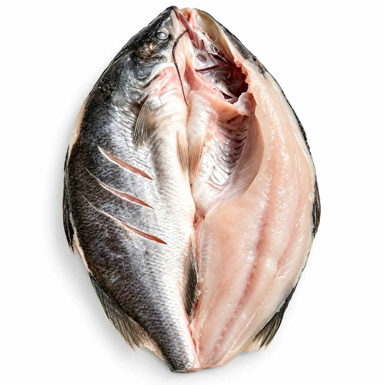 Pre-marinated butterflied sea bass — catalogue product-format reference
