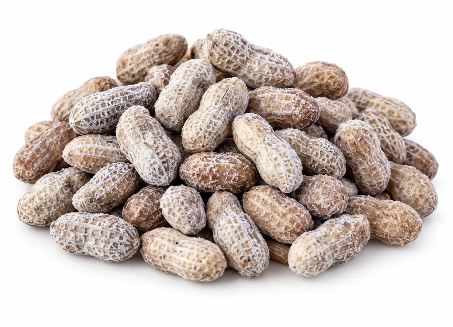 IQF Boiled Peanuts — presentation reference