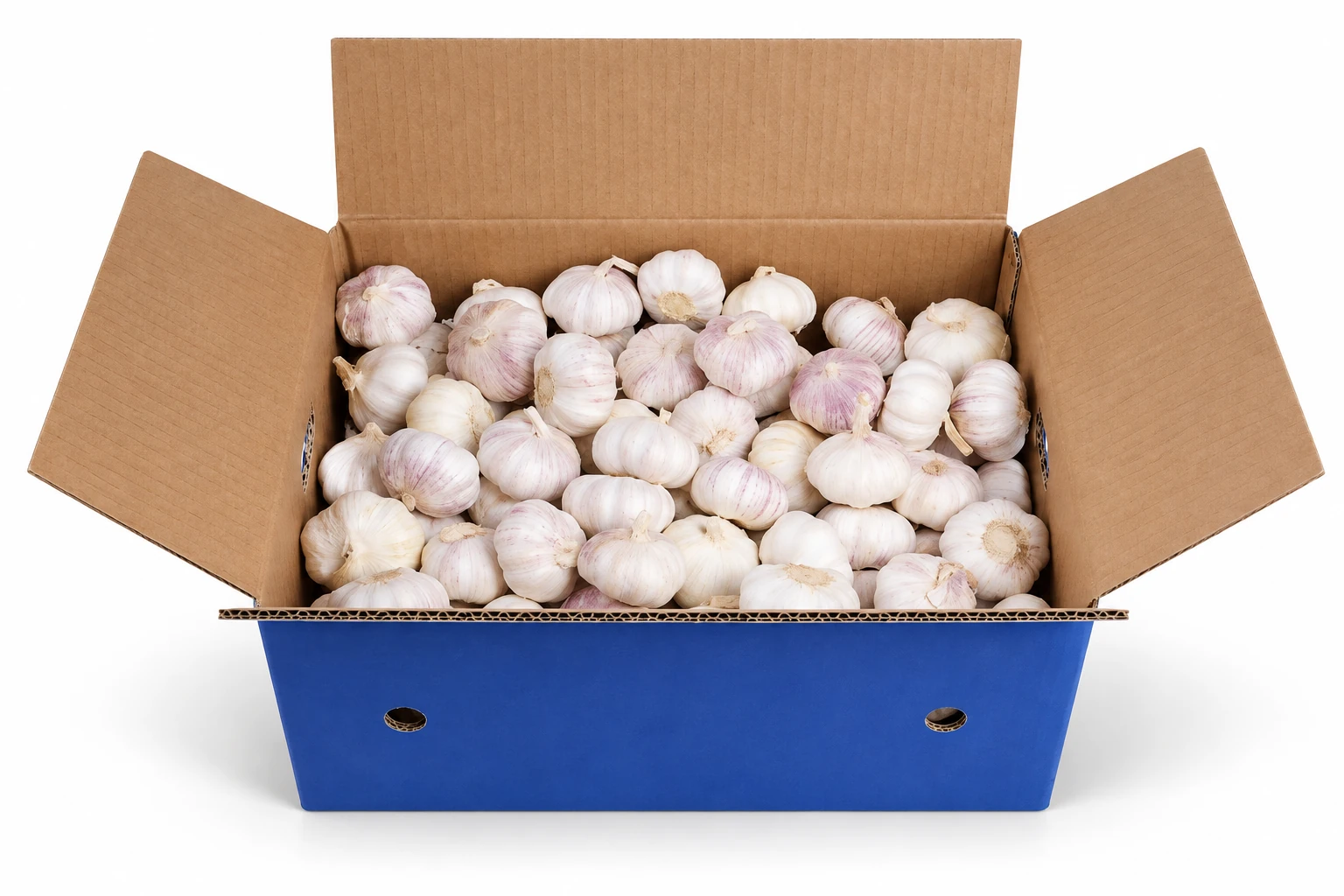 Fresh Garlic — product reference