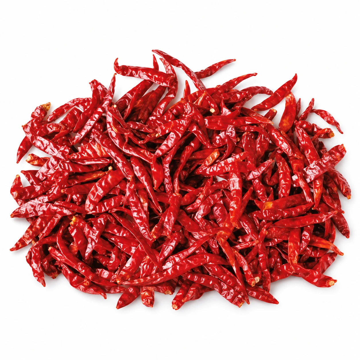 Whole dried Teja S-17 chili — edited catalogue image